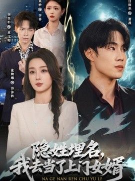 隐姓埋名，我去当了上门女婿海报